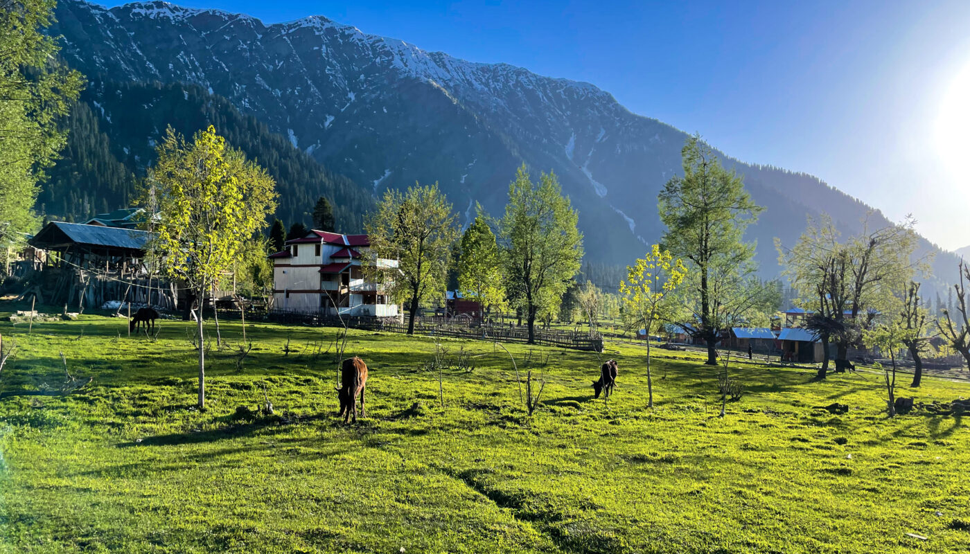 https://www.freepik.com/free-photo/beautiful-landscape-arang-kel-kashmir-with-green-fields-local-houses-with-hidden-clouds_223798890.htm#fromView=search&page=1&position=18&uuid=814b3ad7-338c-4a20-9c42-df9ff8789bfe&query=Nathia+Gali+Travel+Guide%3A+Best+Attractions%2C+Activities%2C+and+Places+to+Stay