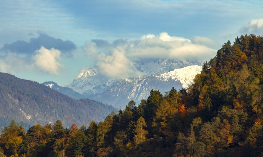 Top Day Trips from Murree: Nathia Gali, Bhurban, and Patriata