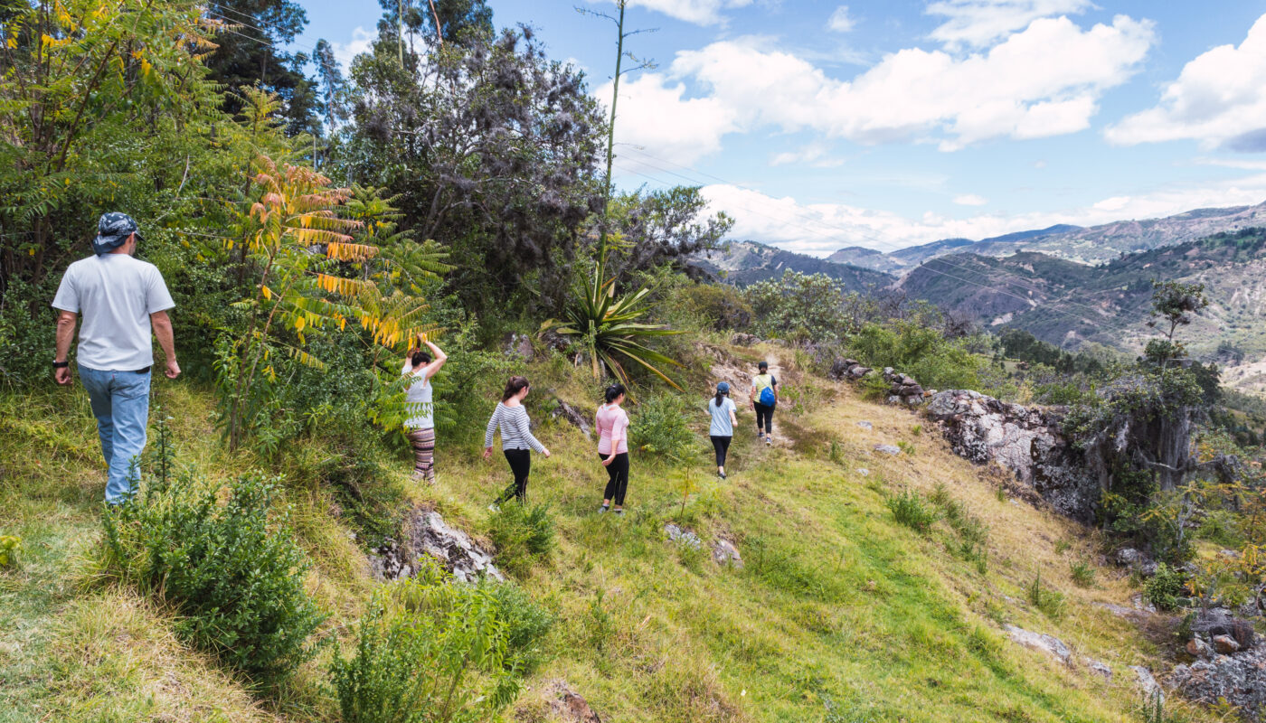 https://www.freepik.com/free-photo/group-tourists-walking-through-narrow-path-mountain_10835531.htm#fromView=search&page=5&position=16&uuid=852ef8ca-1325-4e0a-9cb9-d15fa40a12ba&query=Top+5+Outdoor+Adventures+in+Murree%3A+Hiking%2C+Horseback+Riding%2C+and+More