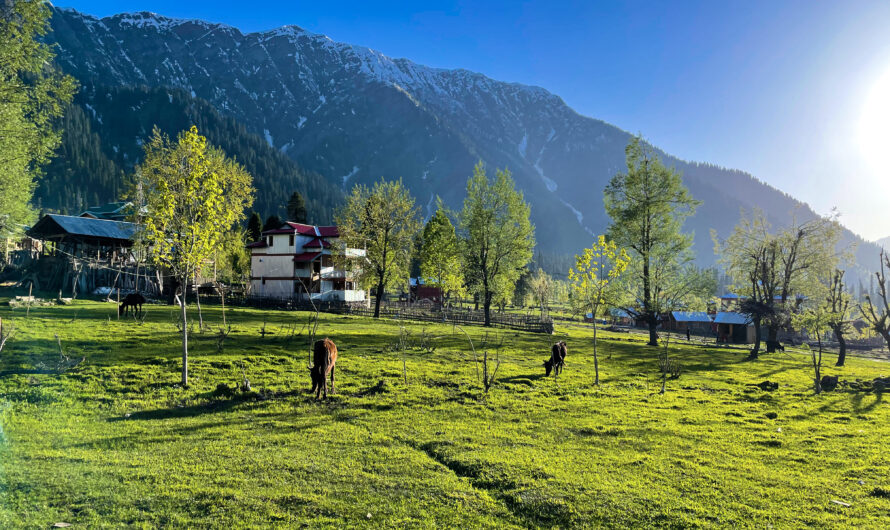 Visiting Toli Pir from Murree: A Guide to Azad Kashmir’s Scenic Hilltop