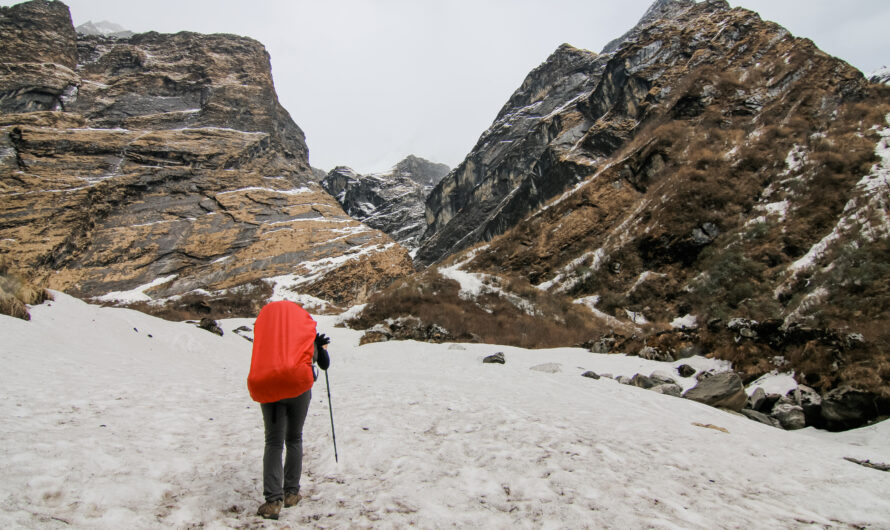 Exploring Passu Glacier: A Trekker’s Paradise in Hunza Valley