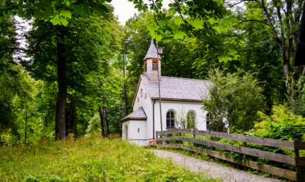 https://www.freepik.com/free-photo/closeup-shot-little-white-church-woods_17245609.htm#fromView=search&page=4&position=6&uuid=a3d1bcf2-97e9-48d0-9563-f3c93828b996&query=A+Complete+Guide+to+Murree%E2%80%99s+Old+Churches+and+Their+Architectural+Beauty