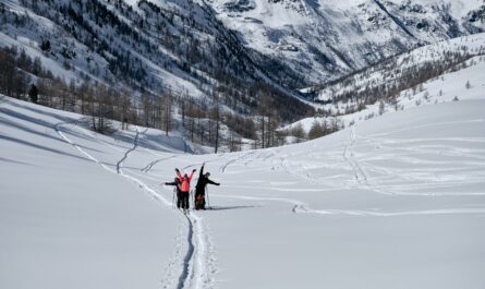 https://www.freepik.com/free-photo/forested-mountain-covered-snow-people-hiking-col-de-la-lombarde_11343638.htm#fromView=search&page=1&position=22&uuid=b5b421fd-02d5-40ee-9353-b5347068f67b&query=Exploring+Baltoro+Glacier%3A+Trekking+to+the+Heart+of+the+Karakoram+Range