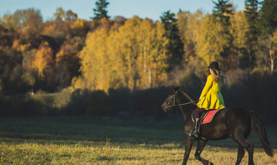 Top Outdoor Adventures in Murree: From Zip-Lining to Horseback Riding