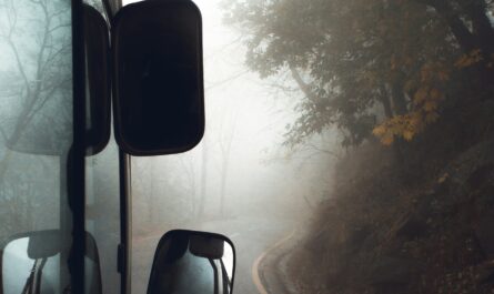 https://unsplash.com/photos/black-vehicle-on-road-surrounded-with-green-trees-in-foggy-day-uaTGkrAU5nQ