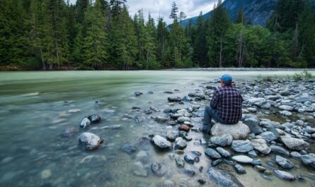 https://www.freepik.com/free-photo/person-sitting-stone-near-body-water_8162786.htm#fromView=search&page=1&position=8&uuid=3925a53f-8726-4052-89f5-6eefd038ad18&query=Discovering+Sheosar+Lake+in+Deosai%3A+A+Photographer%E2%80%99s+Paradise