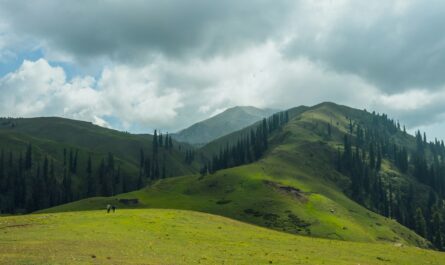 https://unsplash.com/photos/green-mountain-during-daytime-under-white-clouds-jqvKqDz5WRw