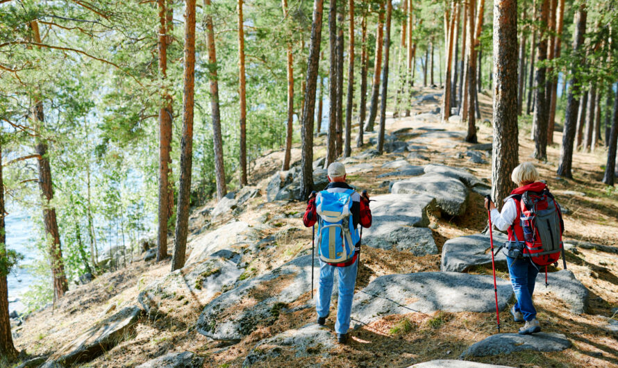 Hiking in Murree’s Forest Trails: Best Routes for Beginners and Experts